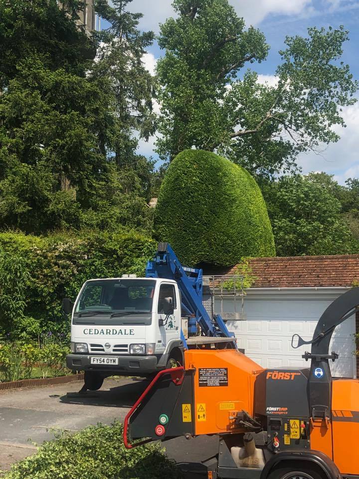Hedge trimming using our cherry picker